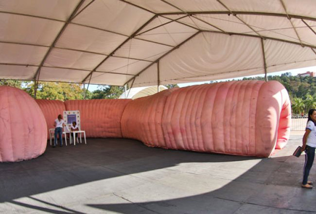 Fenasoja 2020 terá exposição de Intestino Gigante