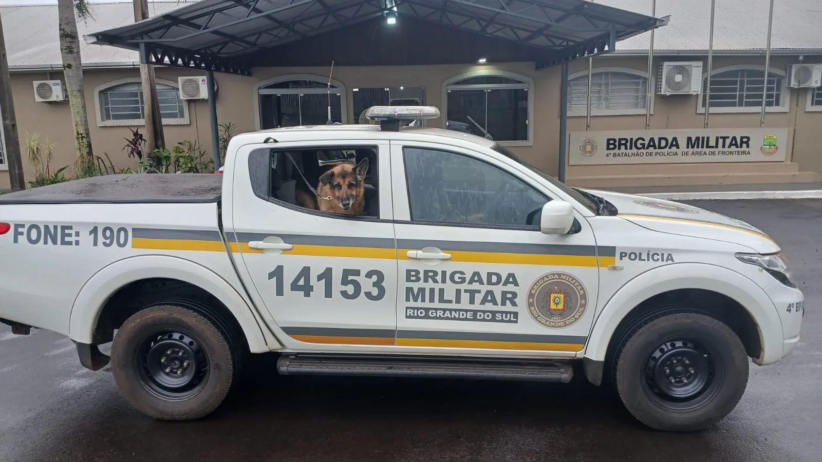 Missão cumprida: cão policial Sony encerra nove anos de serviços na Brigada Militar