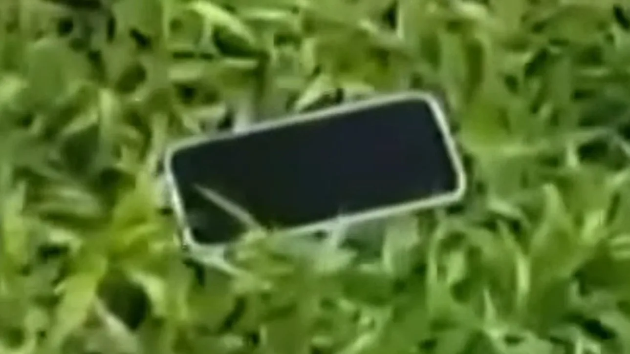 Alvo da PF, deputado joga celulares da janela para evitar apreensão; ASSISTA